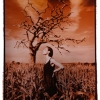 Greatham tree and she. Toned silver gelatin print